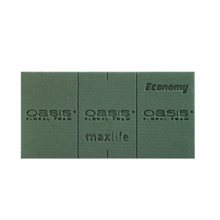 Oasis Economy - 6 stuks - Steekschuim