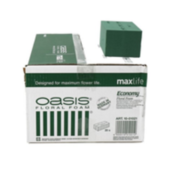 Oasis Economy - 6 stuks - Steekschuim