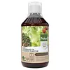 Pokon Pokon Bio - Kuur voor weerbare en gezonde planten - 500 ml concentraat