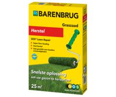 Barenbrug Barenbrug Herstel SOS graszaad - 500 gram voor 25 m²