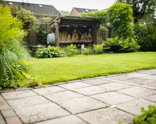Onderhoudsprogramma voor een mooi en gezond gazon
