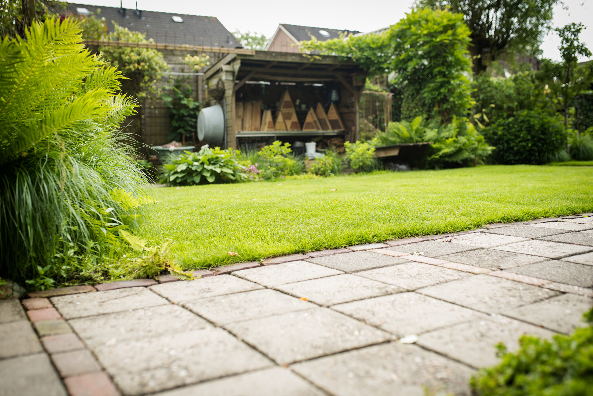Onderhoudsprogramma voor een mooi en gezond gazon