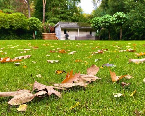 Bladeren van het gazon verwijderen in de herfst