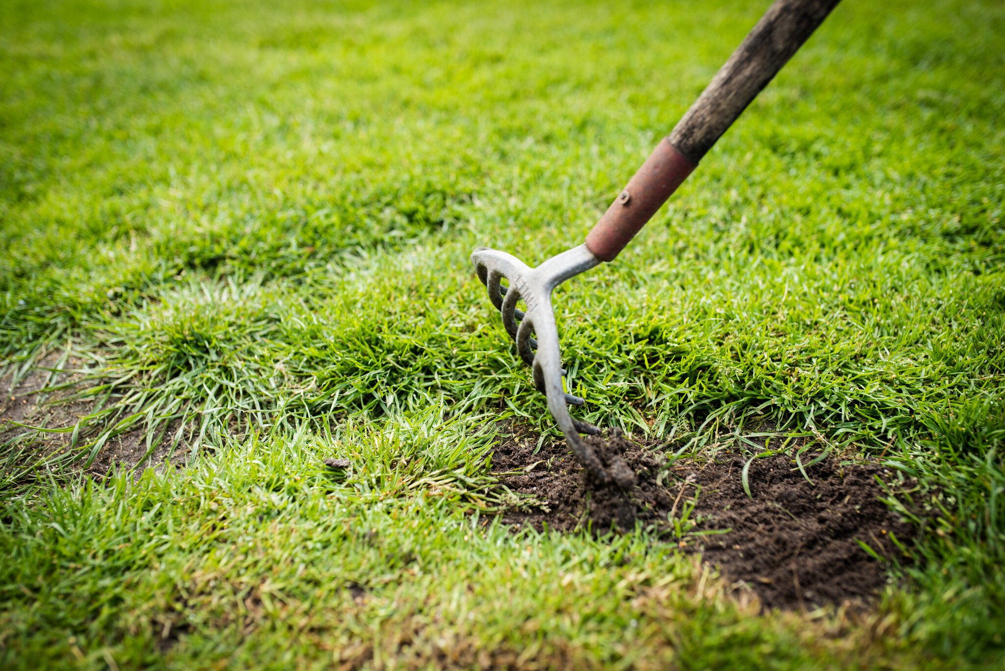 Herstel nu jouw slechte gazon!