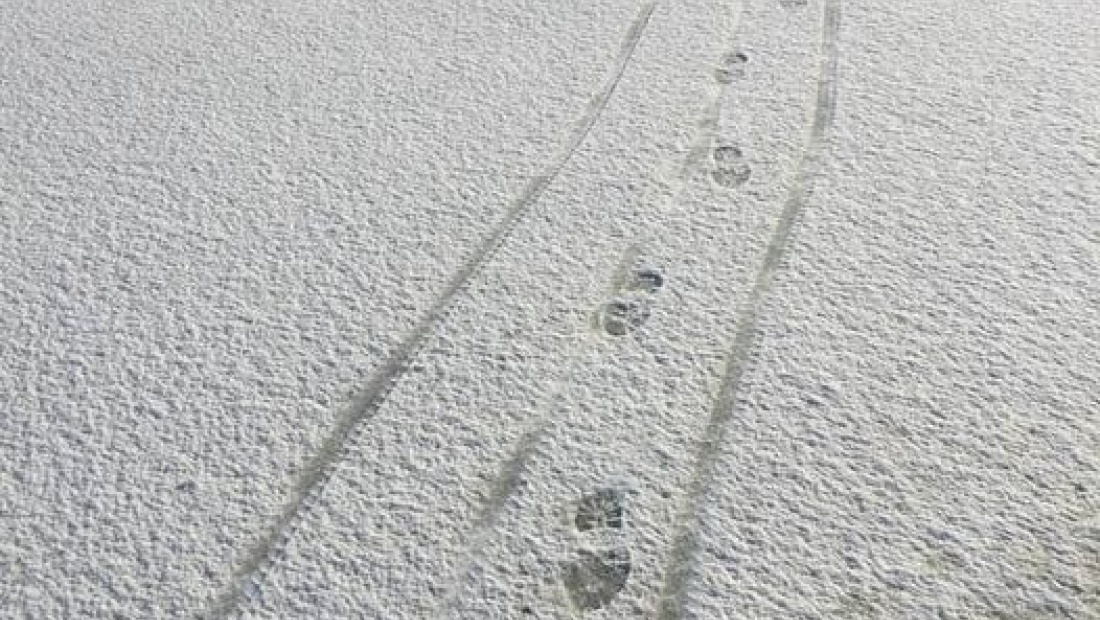 Winter en vorst! Is jouw gazon bevroren?