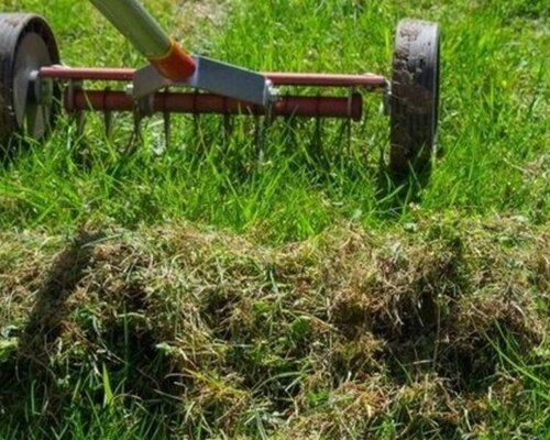 Verticuteren van het gazon