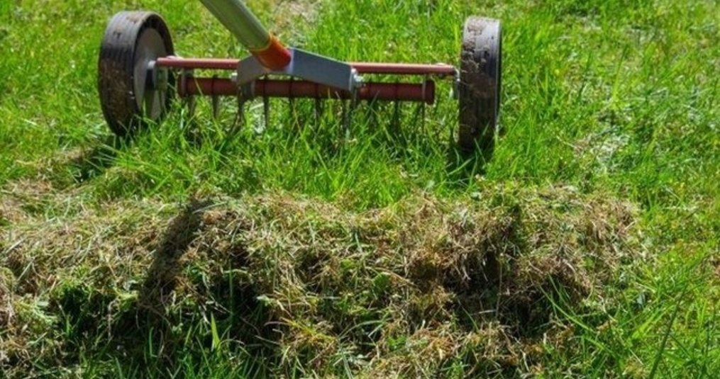 Verticuteren van het gazon