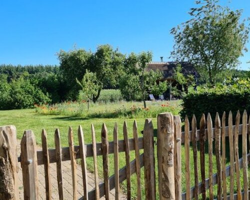 Effectieve bemesting van het gazon, helpt tegen onkruidgroei