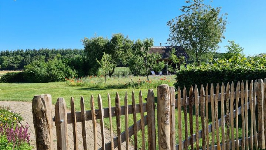 Effectieve bemesting van het gazon, helpt tegen onkruidgroei