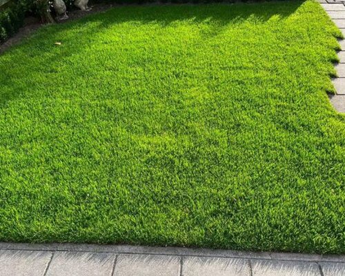 Gezond gras begint bij scherpe messen