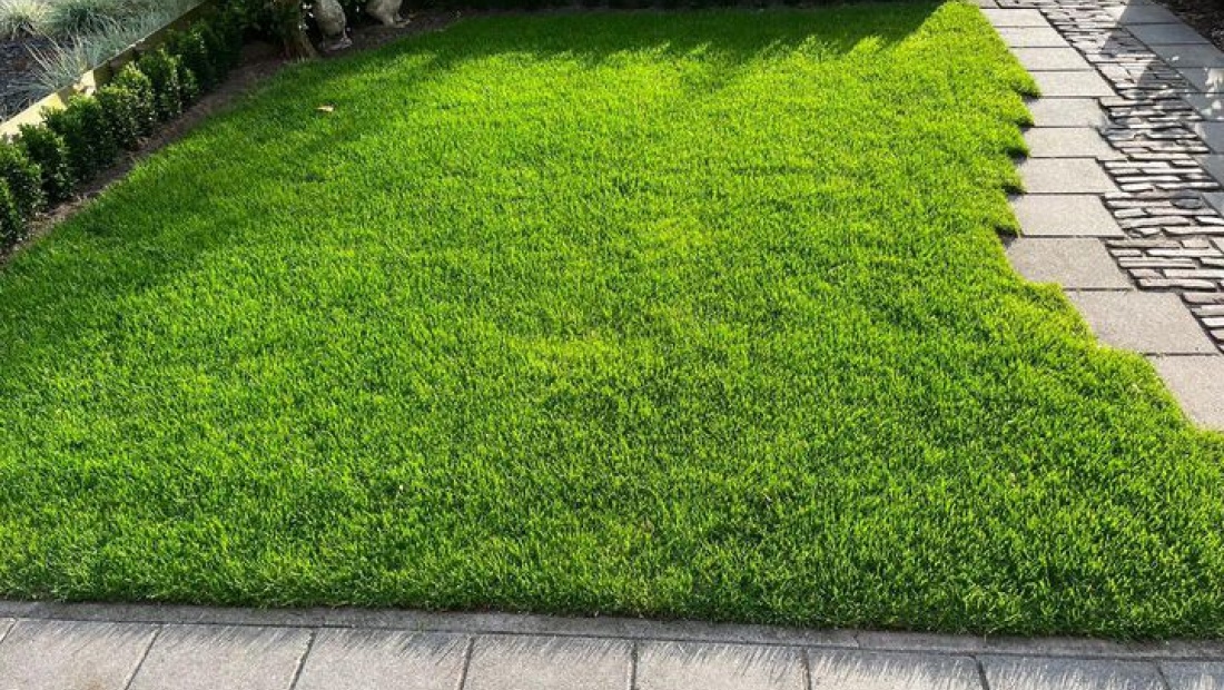 Gezond gras begint bij scherpe messen