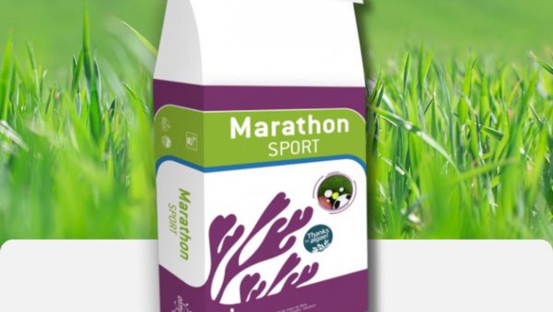 Ken jij het product Marathon Sport Algae al?
