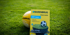 Graszaad sportvelden
