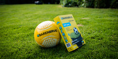 Graszaad sportgazon