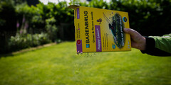 Graszaad met bloemen
