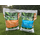 ICL Landscaper Pro All Round en Pre Winter 5 kg - 200m²