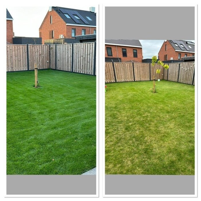 ICL Landscaper Pro ICL Landscaper Pro All Round en Pre Winter 5 kg - 200m²
