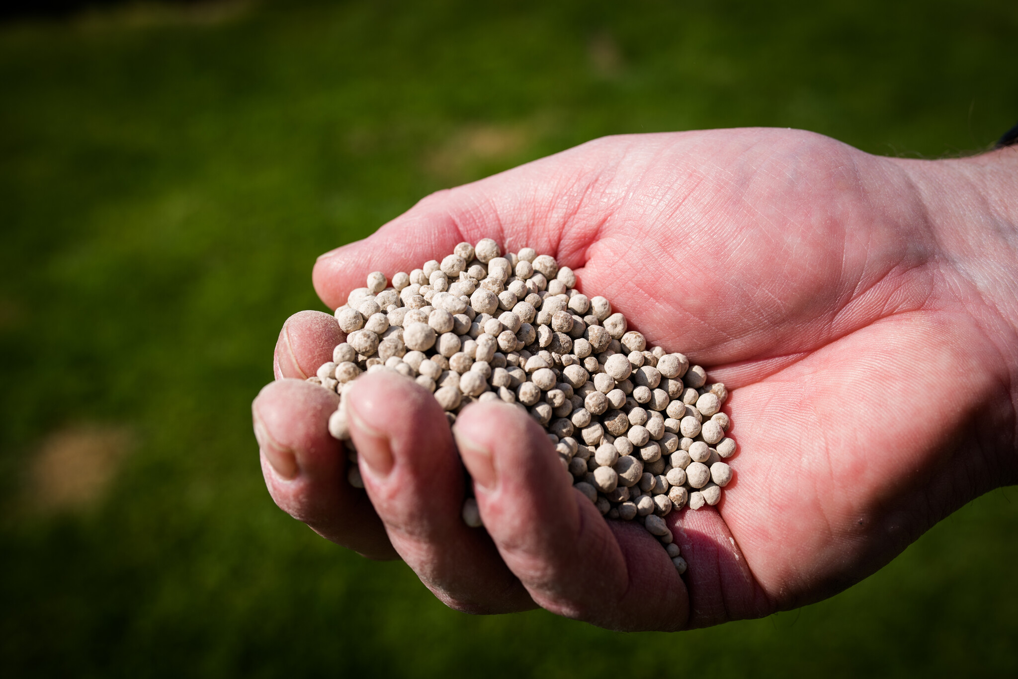 Moet je kalk strooien?