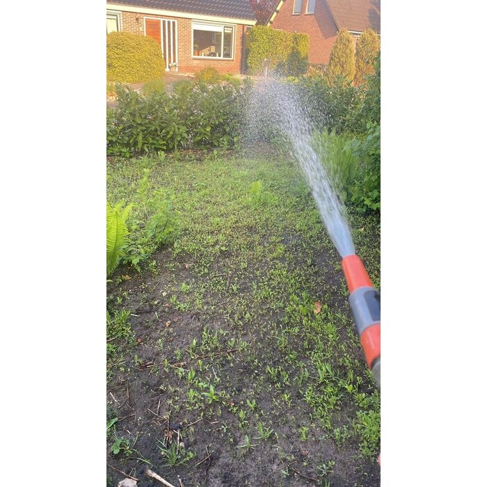 Grasjan Bloemenmengsel Pracht mix zakje 25 gram