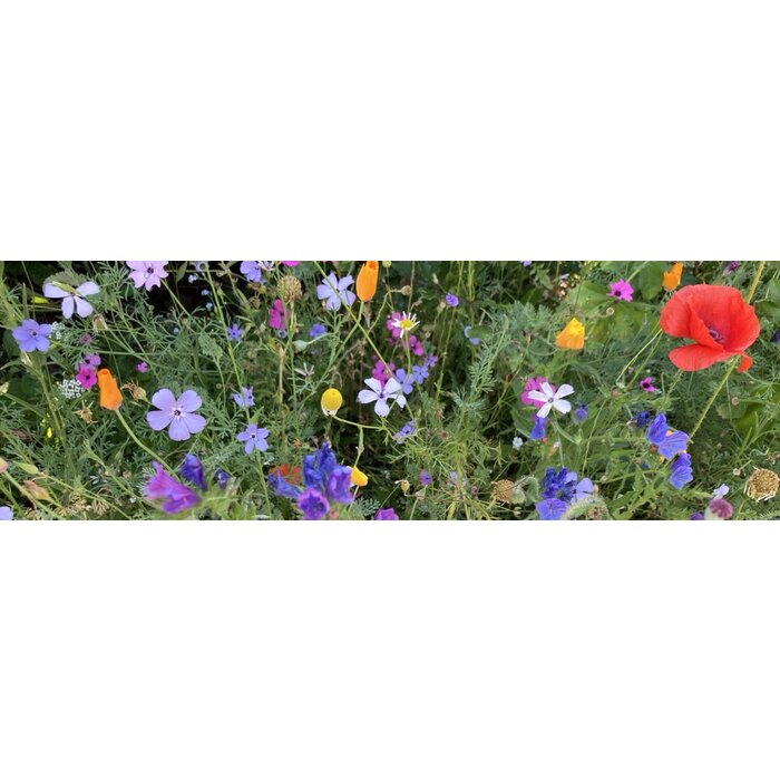 Gazonbemesting Wilde bloemen mengsel - 50 gram