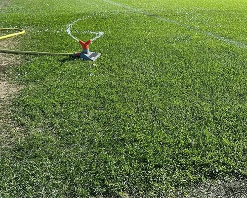 Het is te droog. Graszaad kiemt niet zonder regen!