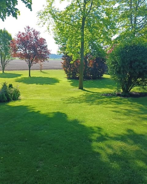 Gazon foto van tevreden klanten