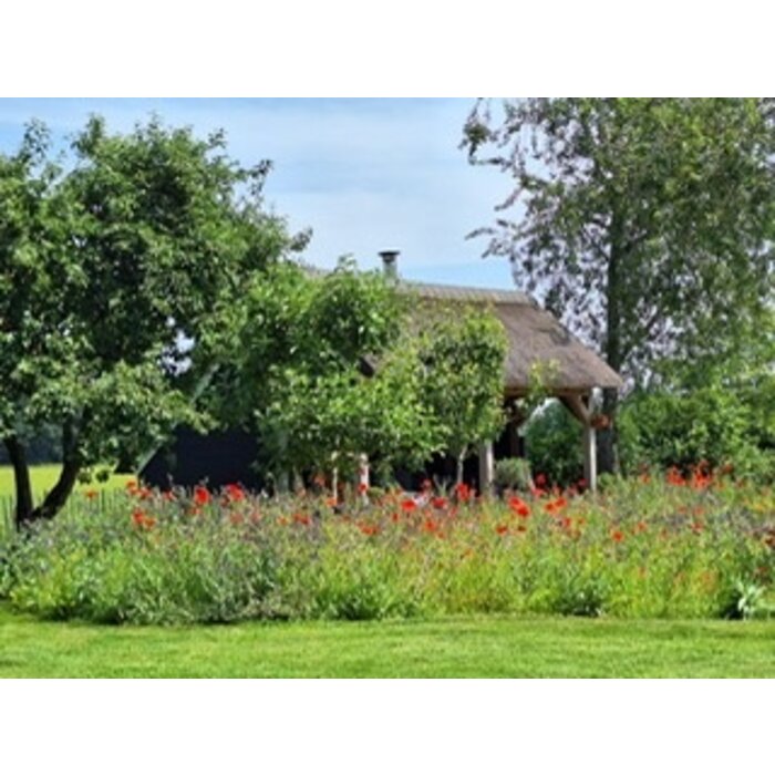 Gazonbemesting Wilde bloemen mengsel - 100 gram