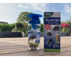 BSi BSi Vliegenval met lokstof - herbruikbaar - combivoordeel