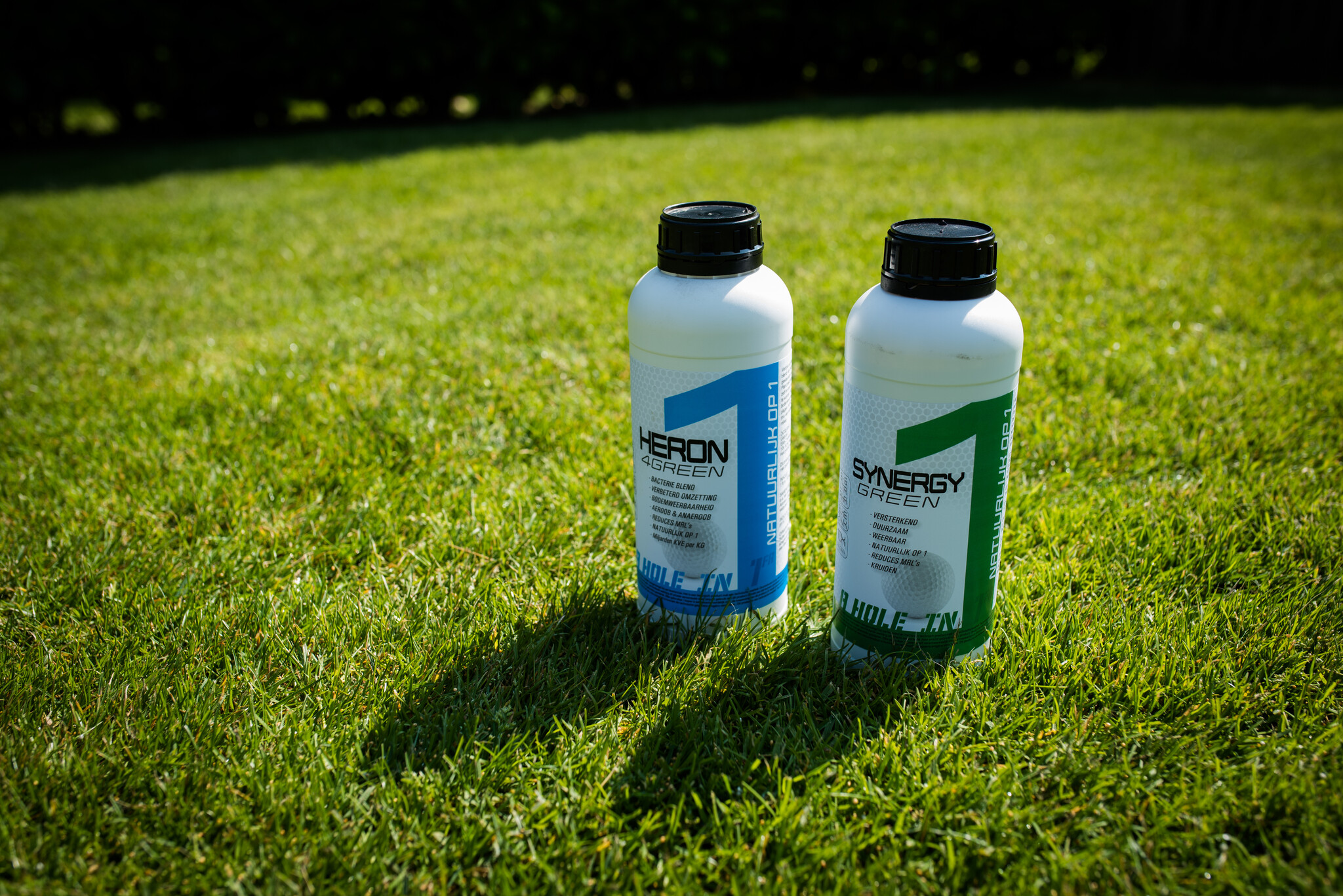 Wat is Synergy Green