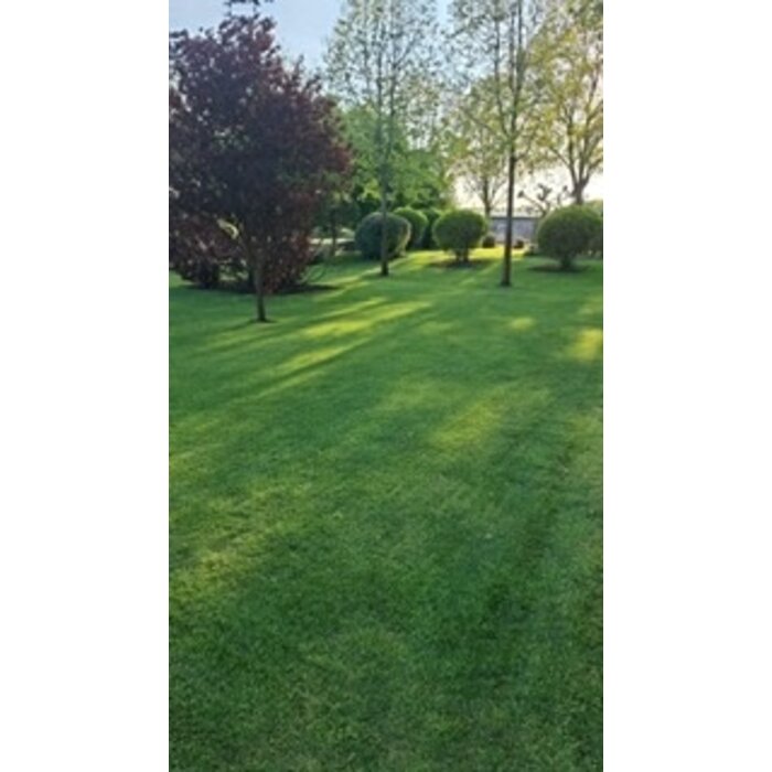 Gazonbemesting Gazonbemesting Zomer - tot 300 m²