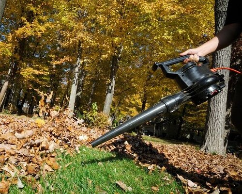 Is gazononderhoud belangrijk in Oktober?