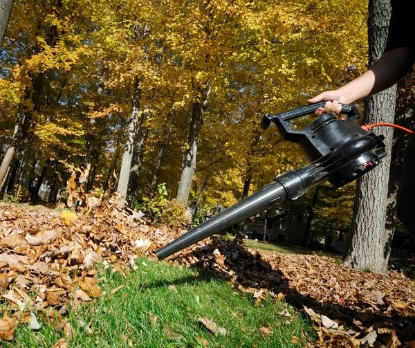 Is gazononderhoud belangrijk in Oktober?