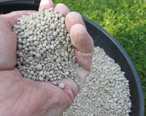 Is kalk goed tegen mos in het gazon?