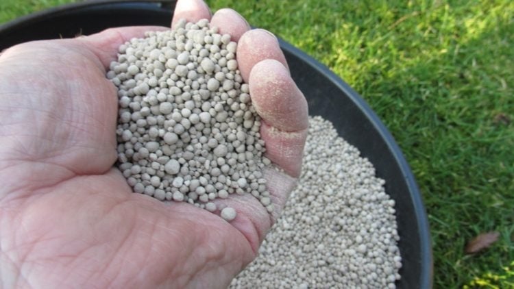 Is kalk goed tegen mos in het gazon?