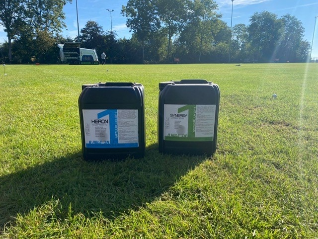 Engerlingen en emelten in het gazon