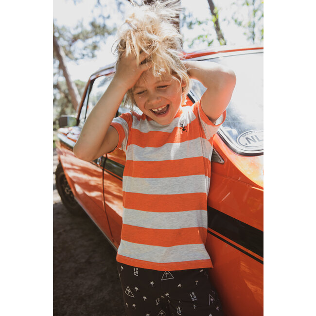 Common Heroes Jongens short - Palms