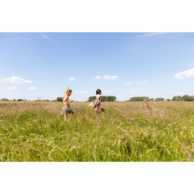 Quapi Meisjes blouse - Thalea - AOP Multi streep