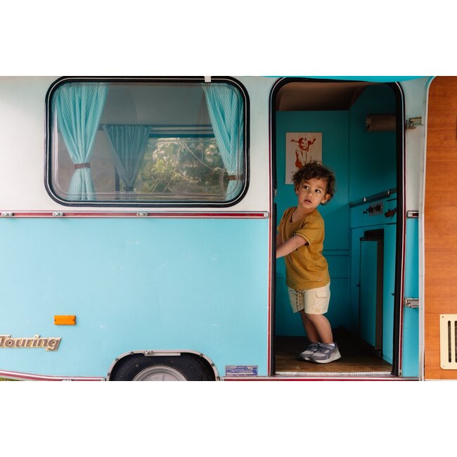 Quapi Jongens t-shirt - Beril - Bruin