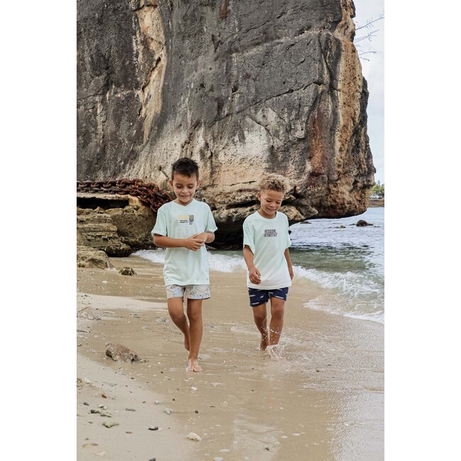 Quapi Jongens t-shirt - Birk - Aqua blauw