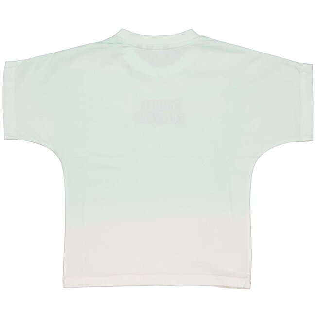 Quapi Jongens t-shirt - Birk - Aqua blauw