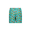 Just Beach Jongens zwembroek - Poolday - Fish