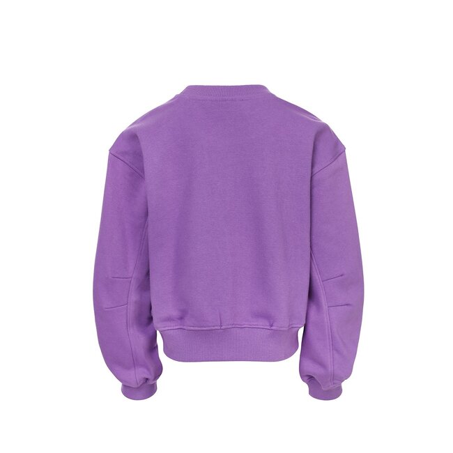 LOOXS 10sixteen Zomer sweater meisjes terry - Paars