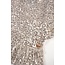 NoBell Zomer top meisjes Licht goud - pailletten - Teddy