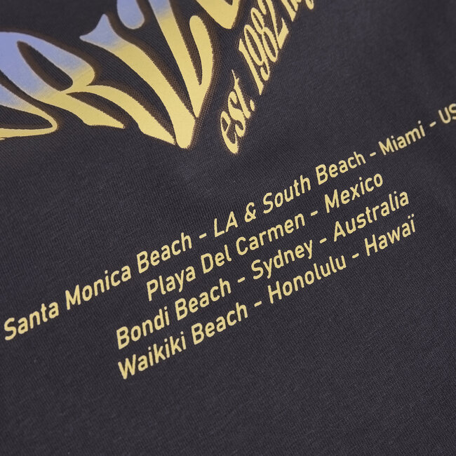 Indian Blue Jeans Zomer T-shirt S/S meisjes - grijs - print