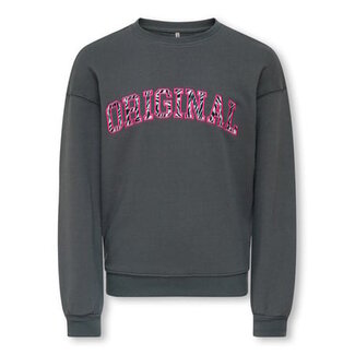 Kids ONLY winter sweater meisjes - grijs - KogFrederikka - regular fit