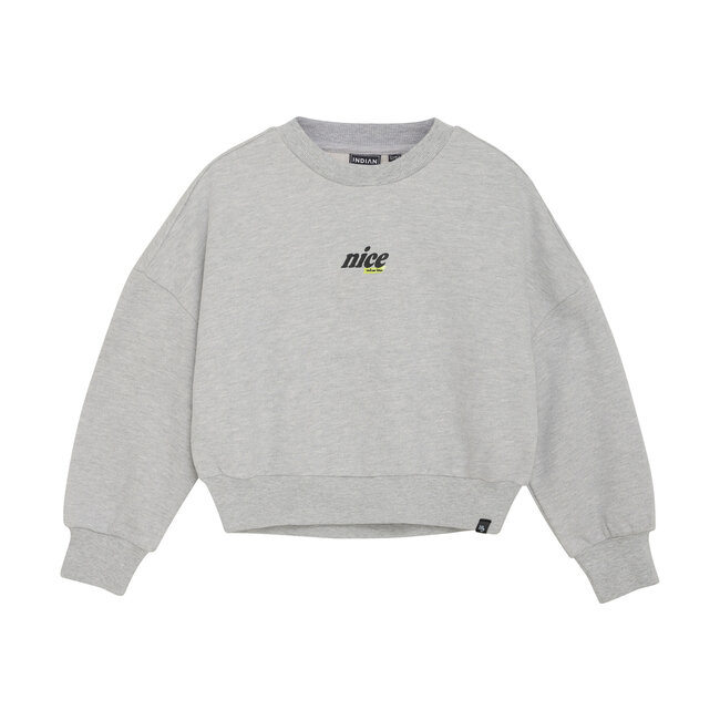 Indian Blue Jeans Winter sweater meisjes - grijs - glitterprint