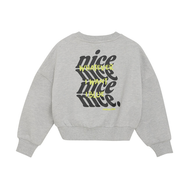 Indian Blue Jeans Winter sweater meisjes - grijs - glitterprint