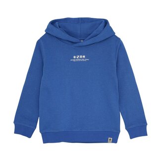 Daily7 winter hoodie jongens - blauw - backprint