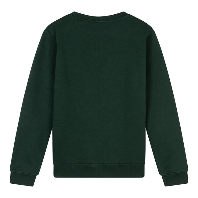 Ambique winter sweater jongens - Ivan - groen