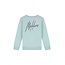 Malelions winter sweater jongens - blauw/grijs - signature, gestreept